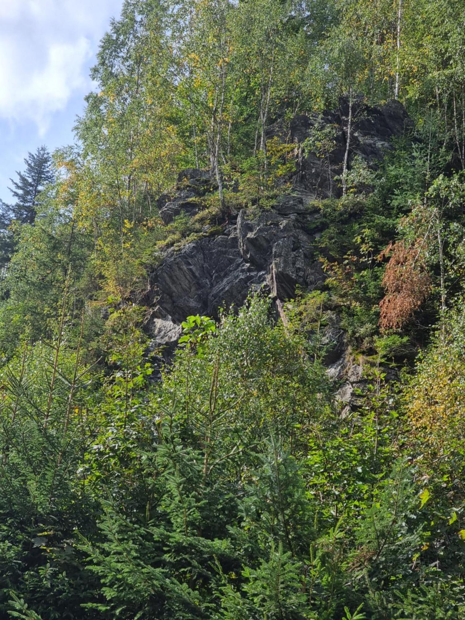 Roubenka Mlyn U Skaly Destne V Orlickych Horach Volne Terminy 5 Bytu Экстерьер фото