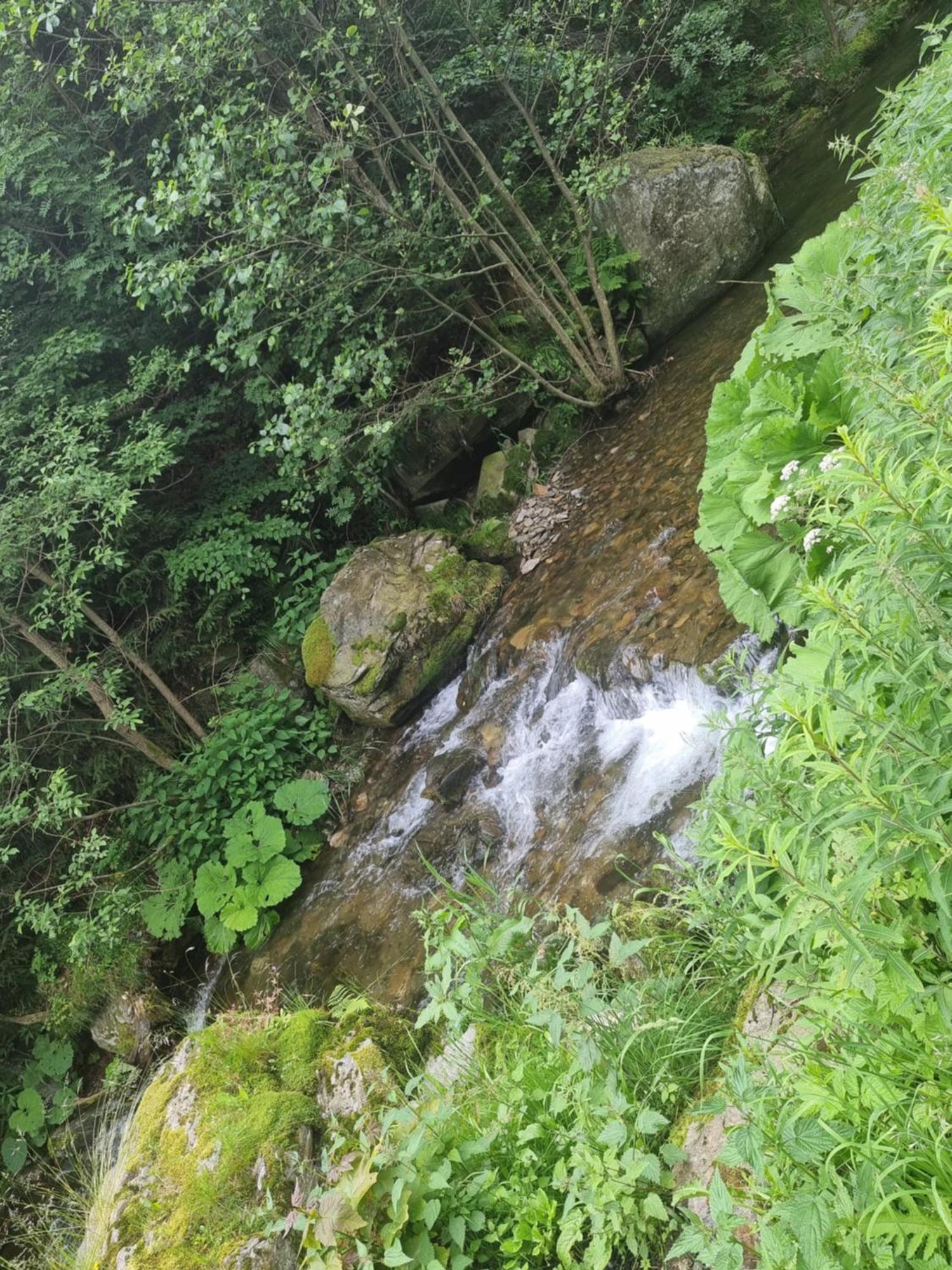 Roubenka Mlyn U Skaly Destne V Orlickych Horach Volne Terminy 5 Bytu Экстерьер фото