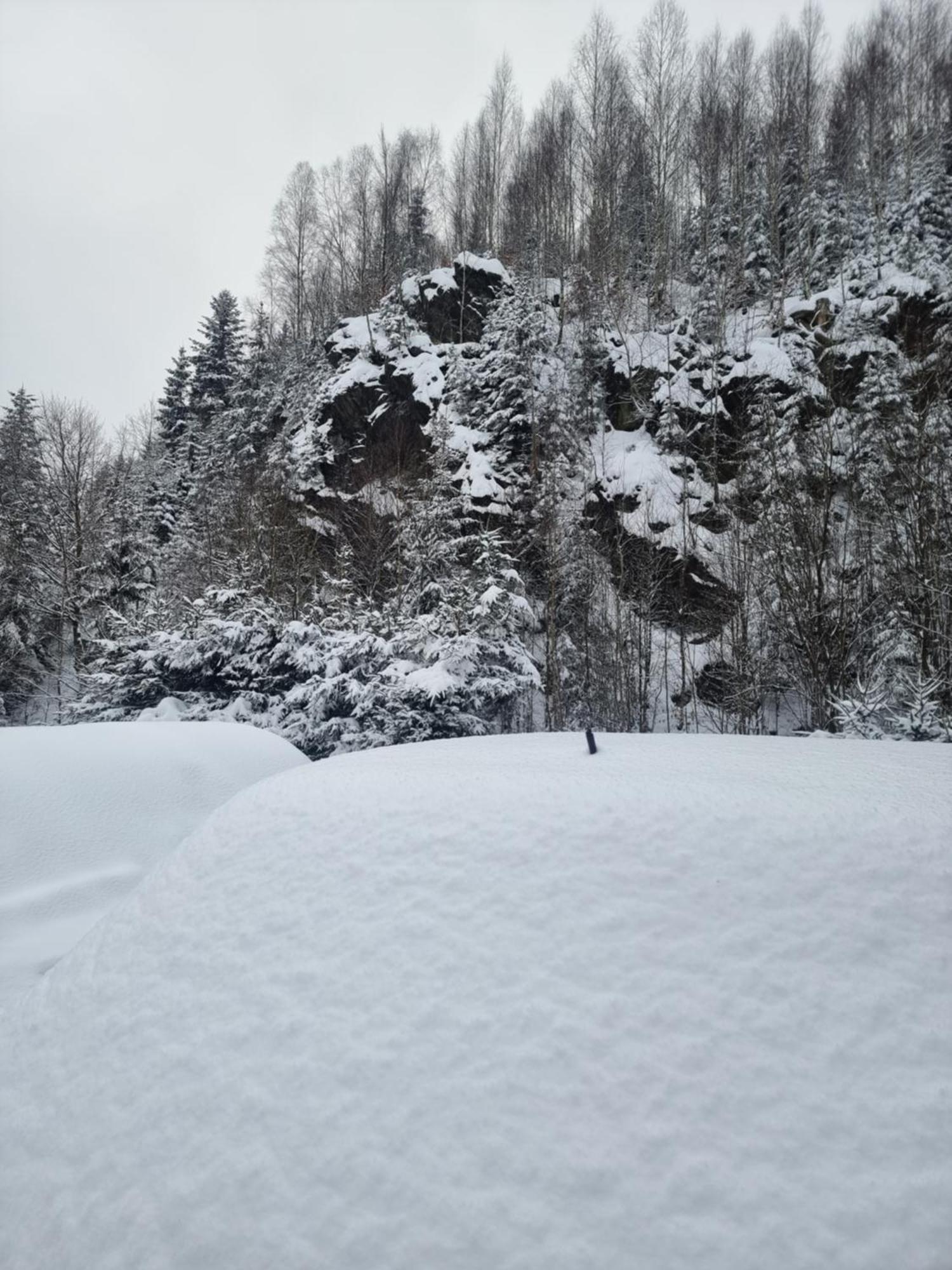Roubenka Mlyn U Skaly Destne V Orlickych Horach Volne Terminy 5 Bytu Экстерьер фото
